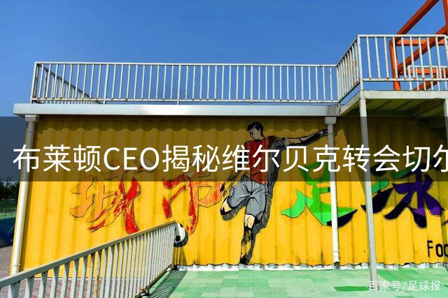 布莱顿CEO揭秘维尔贝克转会切尔西背后的商业考量